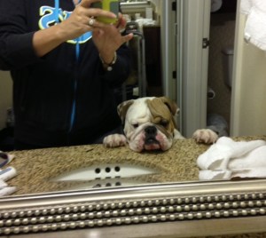 Winston helping me with something at the vanity, Pensacola, FL